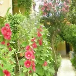 Marin Hotel Kemer